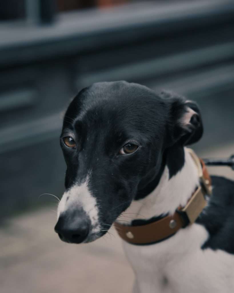Penny from Unit Digital